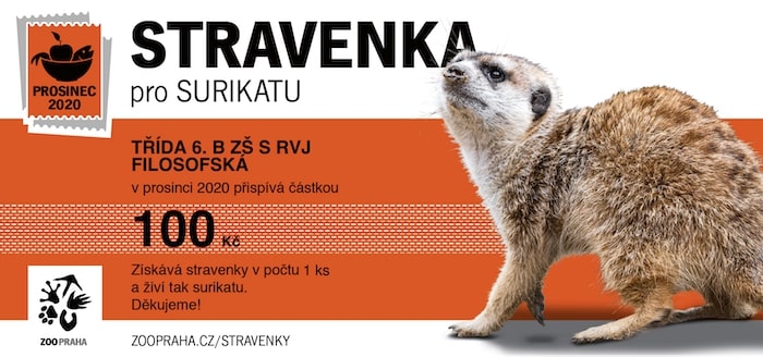 surikata